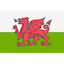 Vlag Wales