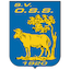 Logo SV OSS '20