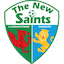 Logo The New Saints F.C.