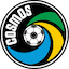 Logo New York Cosmos